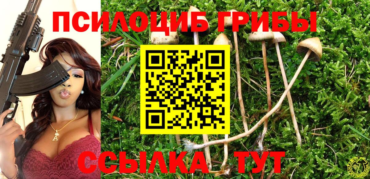 Псилоцибиновые грибы Cubensis Советск