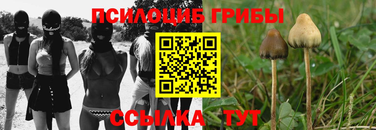 Галлюциногенные грибы Cubensis  Галлюциногенные грибы Psilocybine cubensis  Вход с VPN  наркотики  Советск 
