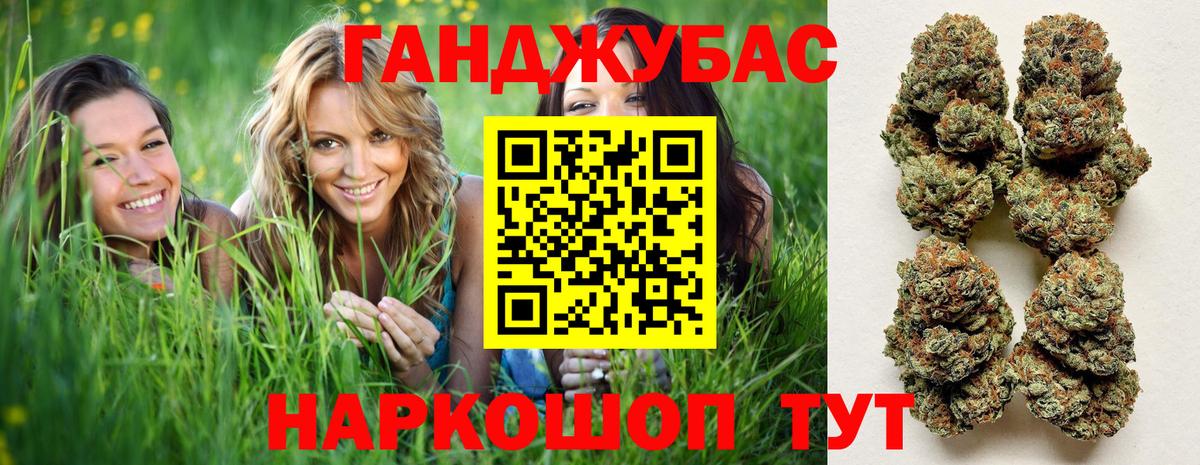 Конопля индика Советск